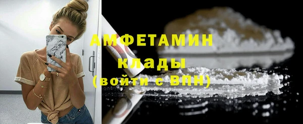 индика Бородино