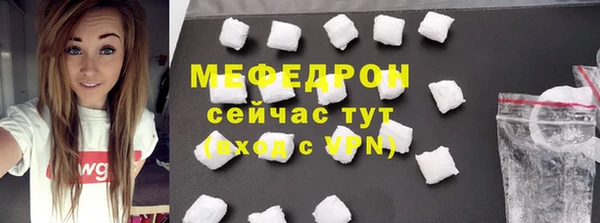 индика Бородино