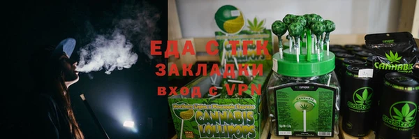 индика Бородино