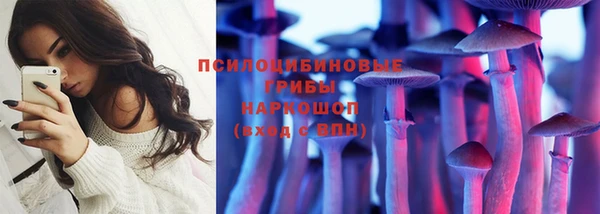 индика Бородино