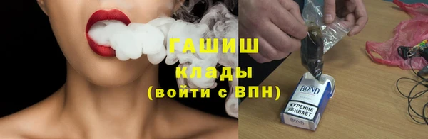 индика Бородино