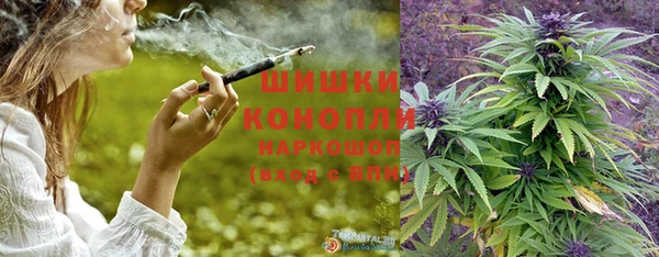 индика Бородино