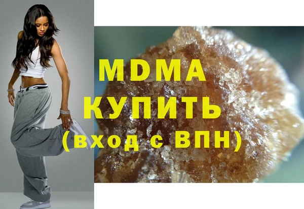 индика Бородино