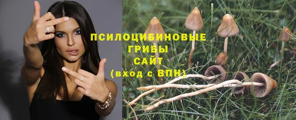 бутират Бронницы