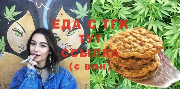 индика Бородино
