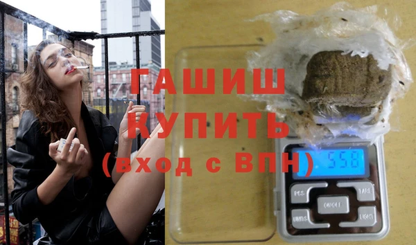 индика Бородино
