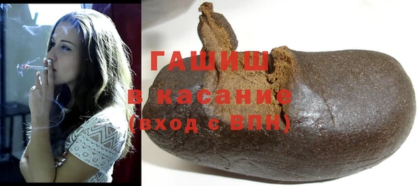 индика Бородино