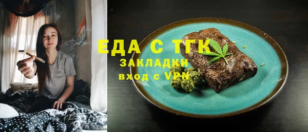 индика Бородино