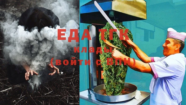 индика Бородино